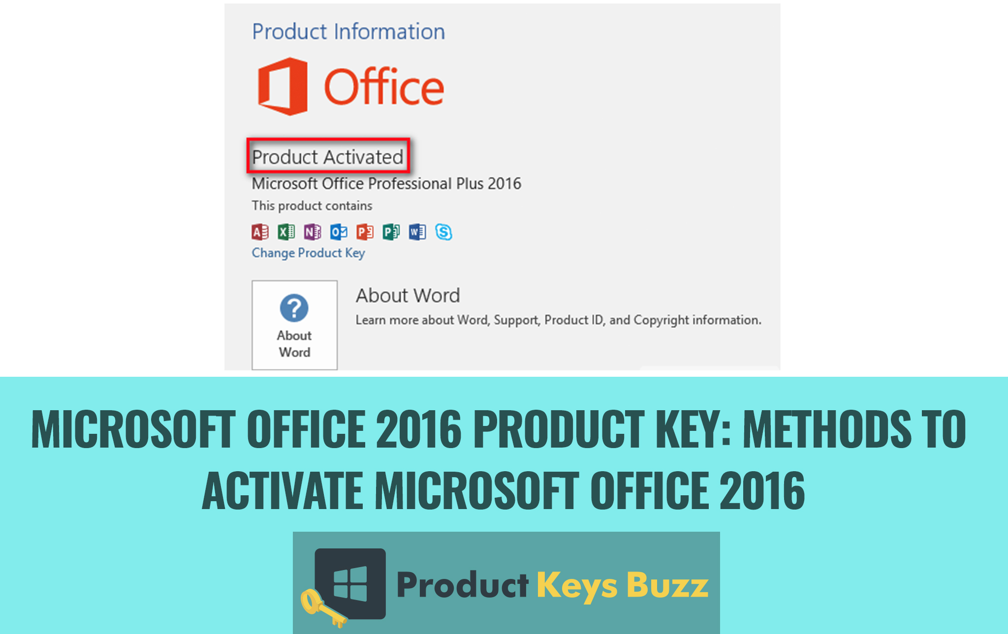 install office 2016 home and business for mac